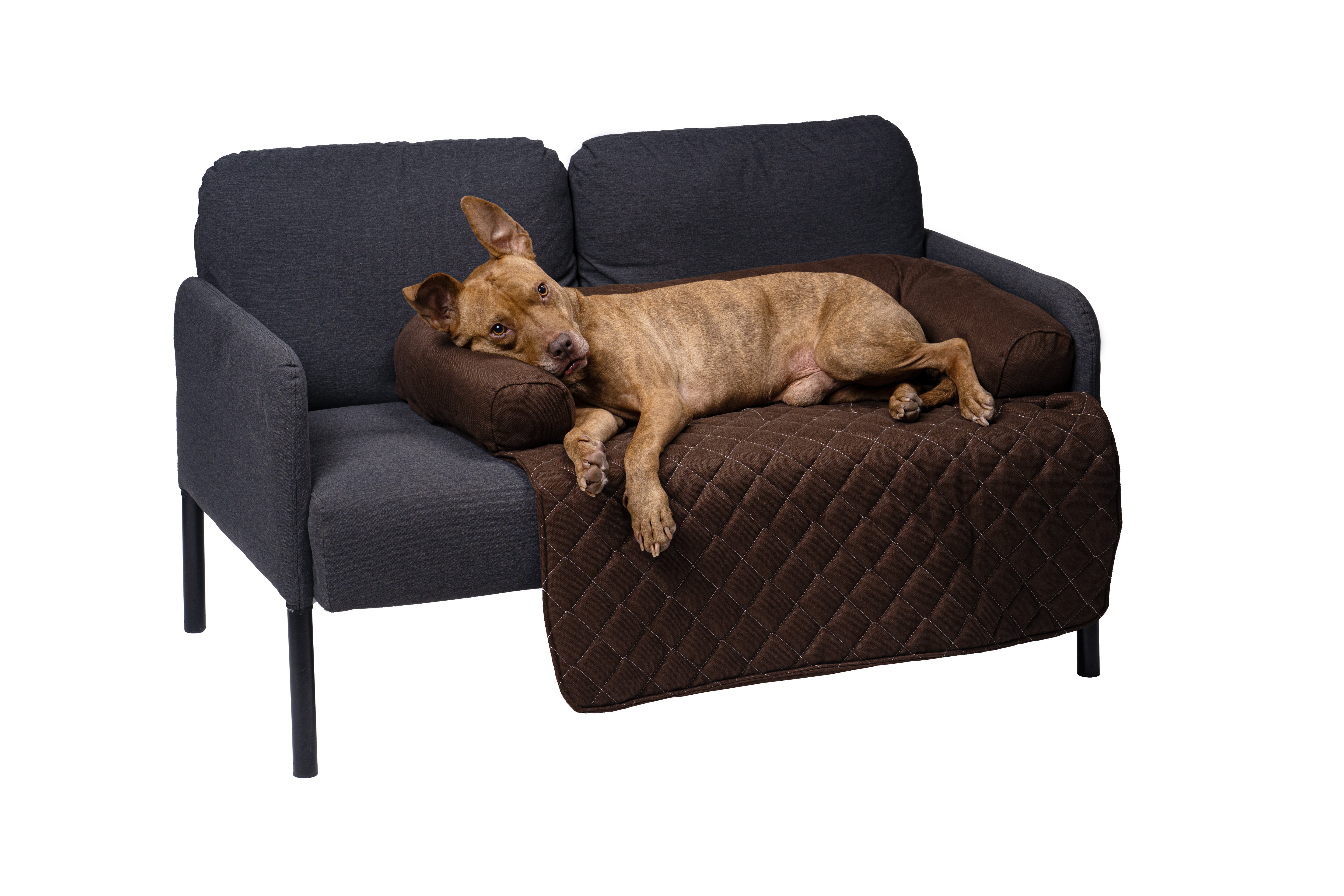 Lous exclusiver Sofaschutz Sofadecke mit Rand Hundedecke Hundebett fürs Sofa 2