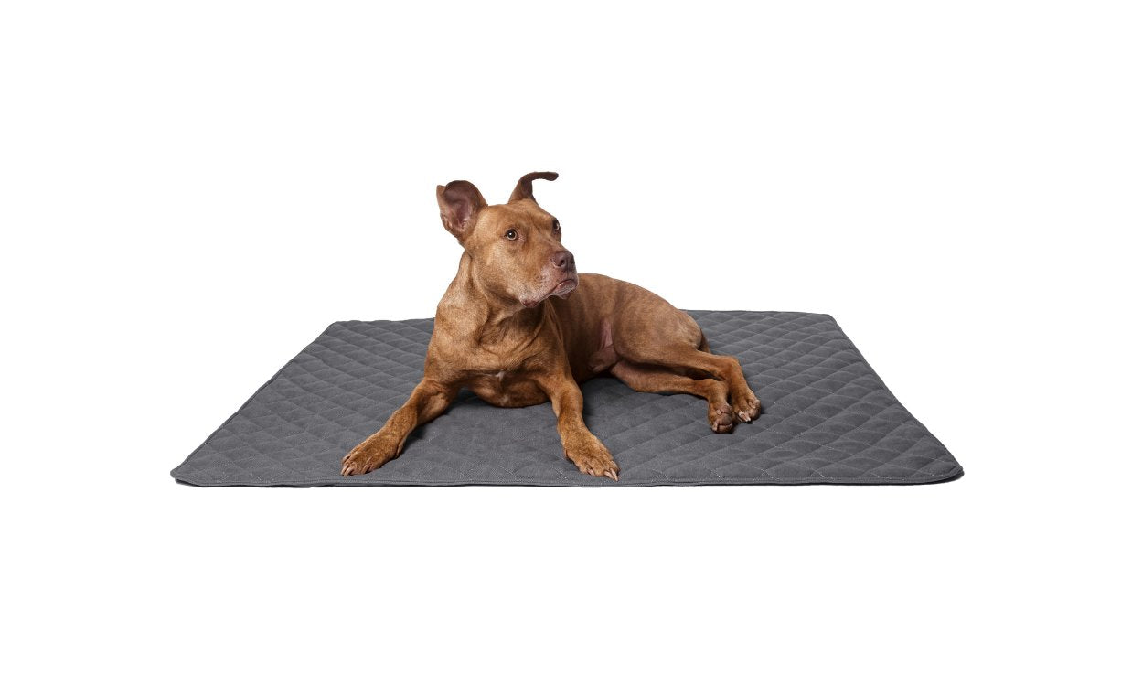 Entdecken Sie unsere Hundedecken - die perfekte Kombination aus Stil, Nachhaltigkeit und Funktionalität!