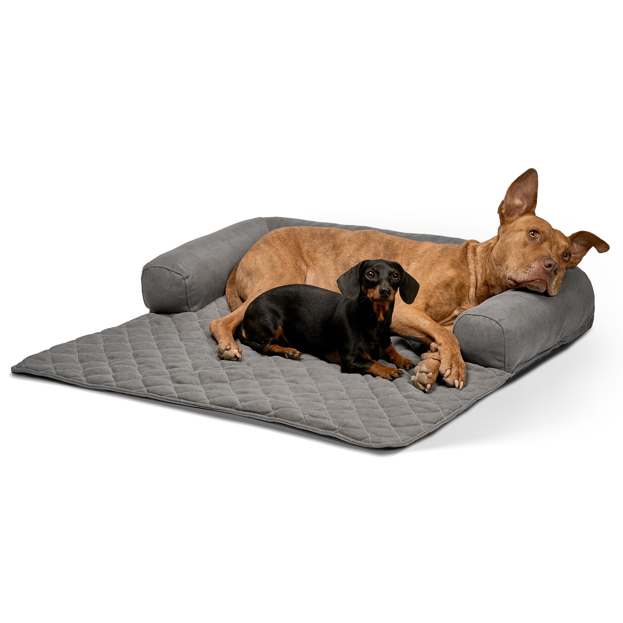 Lous exclusiver Sofaschutz Sofadecke mit Rand Hundedecke Hundebett fürs Sofa