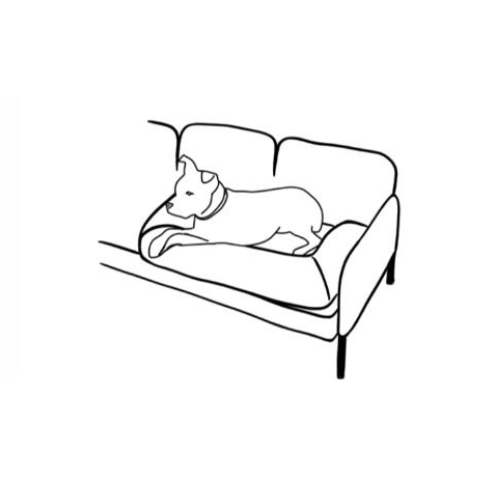lous: Hund auf Sofa Icon
