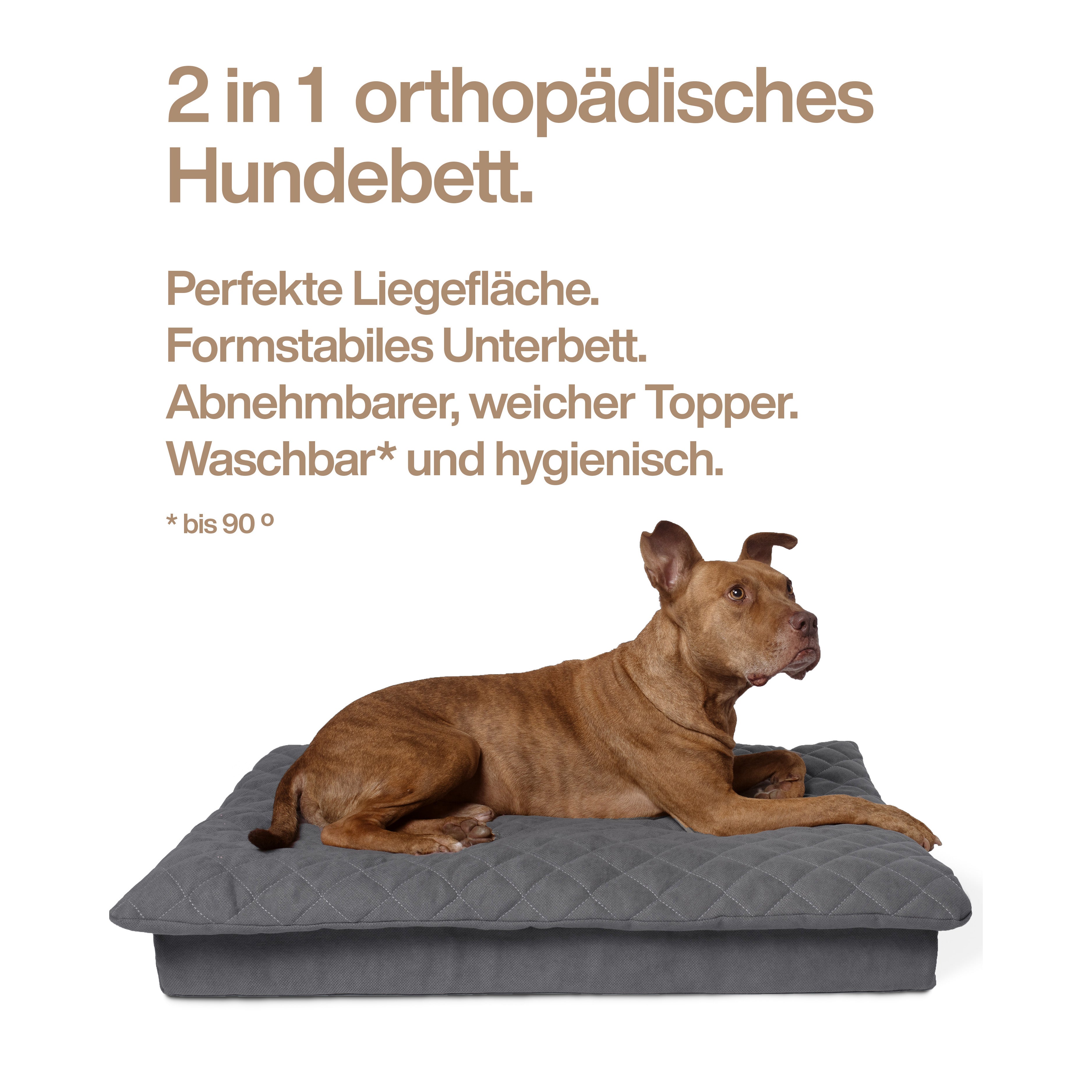 Nachhaltig (B-Variante): Lous 2 in 1 Hundebett mit abnehmbarem Topper für Couch oder Unterwegs.