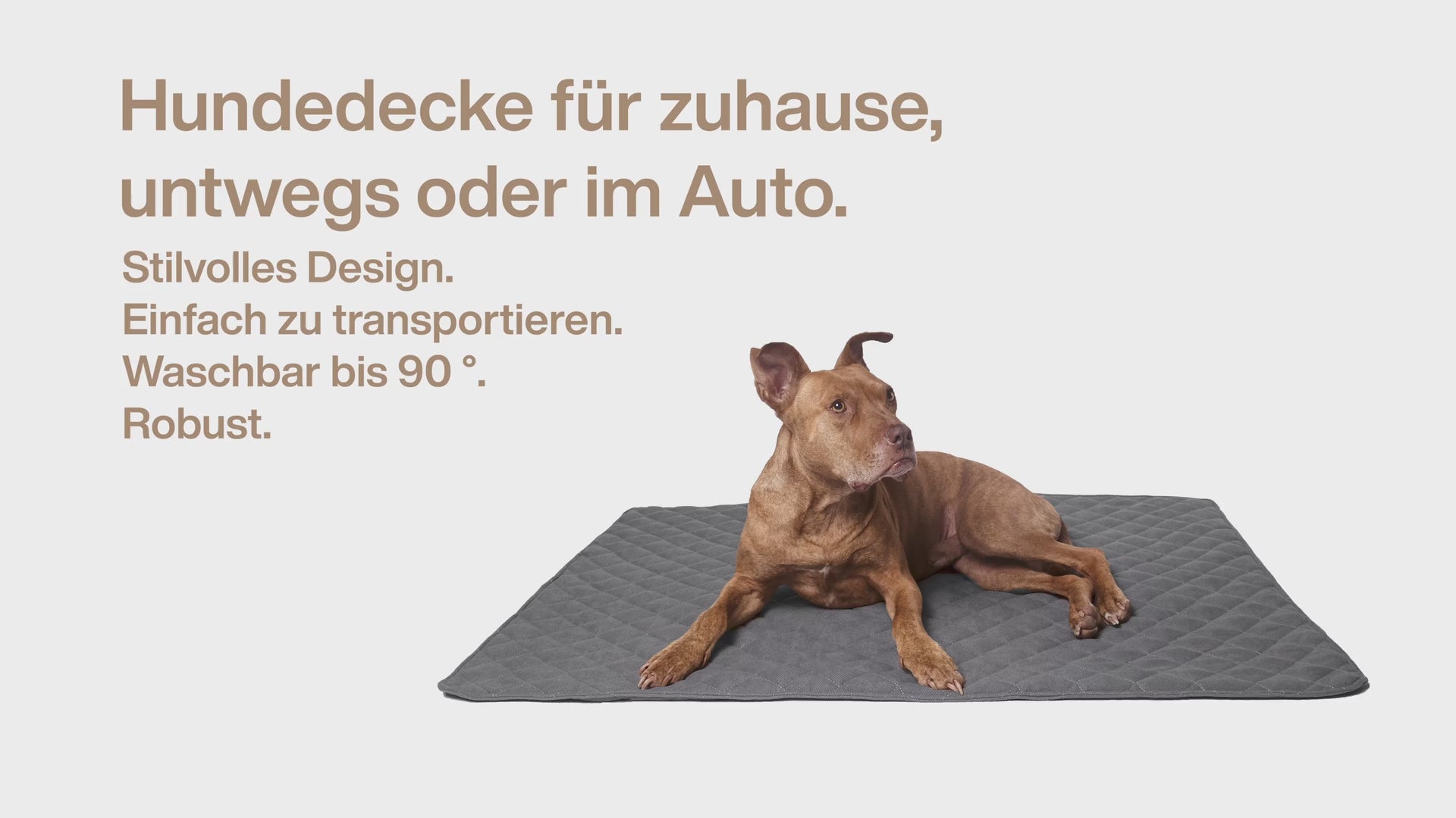 lous: Hundedecke für zuhause, unterwegs oder im Auto Video