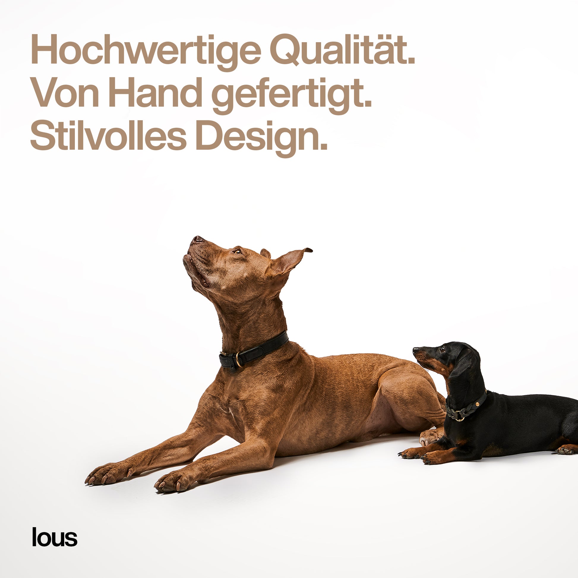 Lous stilvolle Hundematte Hundekissen 3cm Dick – Lous Shop
