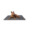 Lous stilvolle Hundematte Hundekissen 3cm Dick